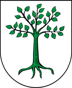Herb Kruszwicy` - Tworzenie stron www i pozycjonowanie